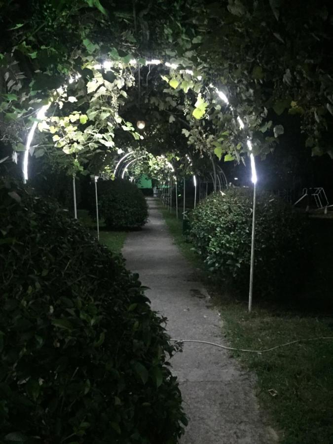 Baza Otdyha Miya Hotel Gudauta Kültér fotó