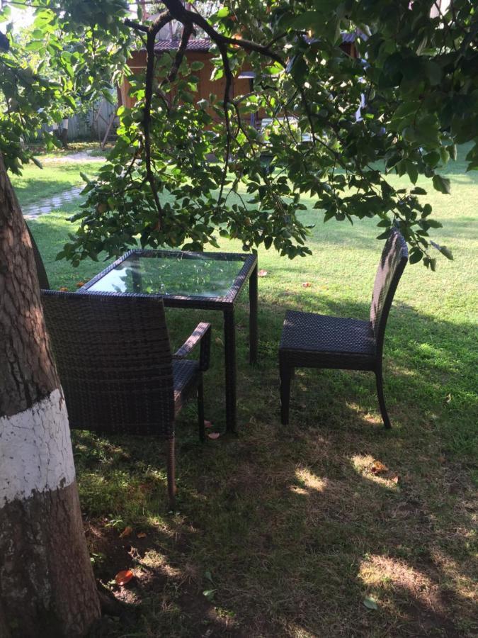 Baza Otdyha Miya Hotel Gudauta Kültér fotó