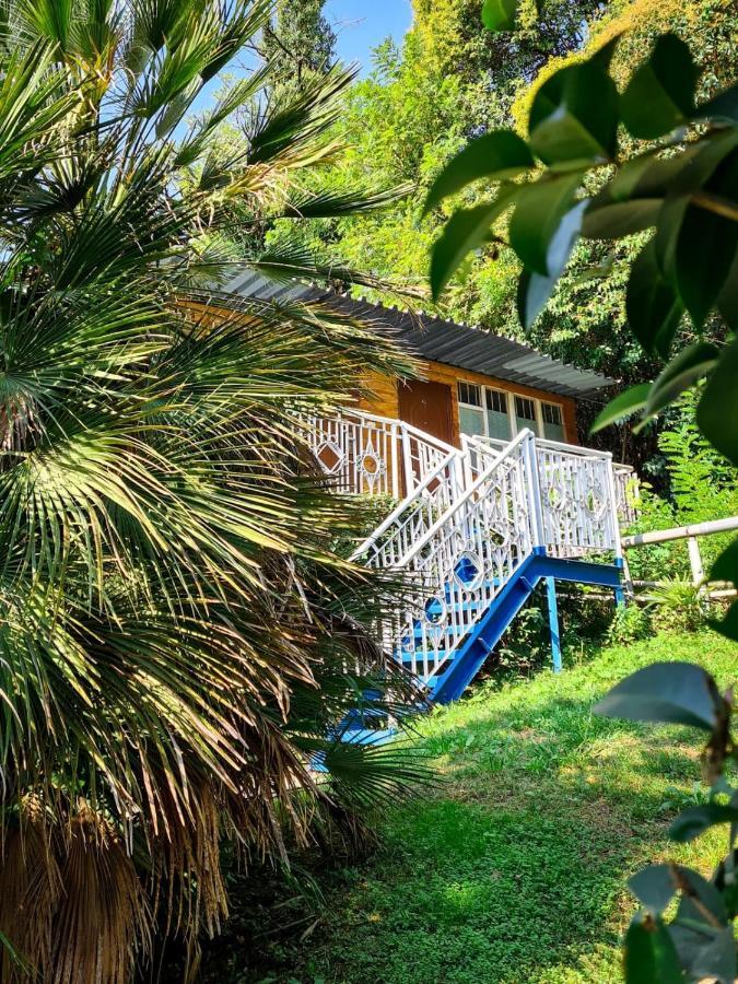 Baza Otdyha Miya Hotel Gudauta Kültér fotó