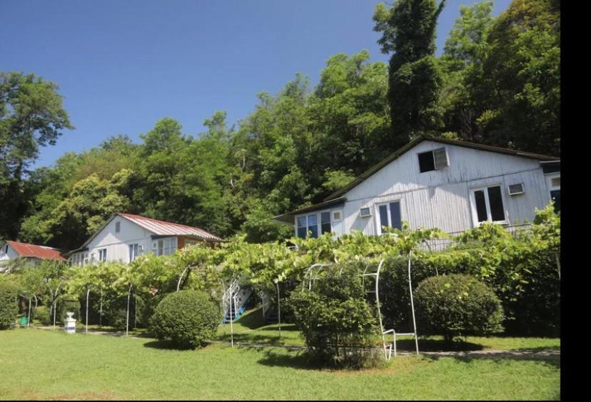 Baza Otdyha Miya Hotel Gudauta Kültér fotó